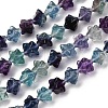 Natural Fluorite Beads Strands G-NH0063-01-2