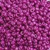 Baking Paint Glass Seed Beads SEED-US0003-4mm-K21-3