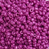 Baking Paint Glass Seed Beads SEED-US0003-4mm-K21-3