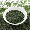 MIYUKI Round Rocailles Beads X-SEED-G007-RR0026-2