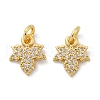 Brass Micro Pave Cubic Zirconia Pendants KK-U073-02G-1