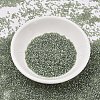 MIYUKI Delica Beads SEED-J020-DB2378-2