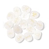 16Pcs 16 Styles Natural Quartz Crystal Display Decorations G-F786-02A-08-1