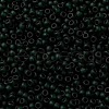 MIYUKI Round Rocailles Beads SEED-X0055-RR0156F-3