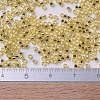 MIYUKI Delica Beads Small X-SEED-J020-DBS0042-4