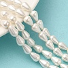 Electroplate Shell Pearl Beads Strands BSHE-G010-6x9mm-01A-2