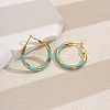 Sweet Stainless Steel Classic Hoop Earrings for Women ZH6889-5-1