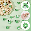 ARRICRAFT 15pcs Lampwork Beads LAMP-AR0001-35-3