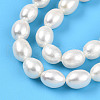 Natural Cultured Freshwater Pearl Beads Strands PEAR-N012-07X-3