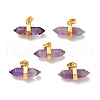 Natural Amethyst Double Terminal Pointed Pendants G-P481-01G-08-1