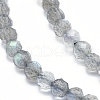 Natural Labradorite Beads Strands G-D0003-E86-4MM-3