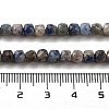Natural Sodalite Beads Strands G-G140-C05-03-5