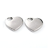 Non-Tarnish 304 Stainless Steel Pendants STAS-B005-02P-1