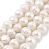 Natural Cultured Freshwater Pearl Beads Strands PEAR-C003-20A-2