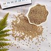 Ornaland 12/0 Round Glass Seed Beads SEED-OL0001-08A-02-7