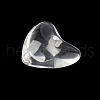 Trajnsparent Resin Pendants CRES-D306-03B-3