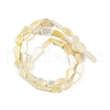 Natural Trochus Shell Beads Strands BSHE-H109-05-3