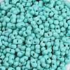 Baking Paint Glass Seed Beads SEED-K010-A19-2