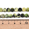 Natural Serpentine Beads Strands G-N346-06A-02-5