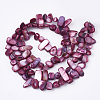 Freshwater Shell Beads Strands X-SHEL-S274-40G-2