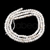 Natural Rainbow Moonstone Beads Strands G-G140-C01-02-2