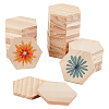 Unfinished Hexagon Wooden Slices WOOD-WH0027-53-1