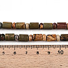 Natural Picasso Jasper/Polychrome Jasper Beads Strands G-N346-03A-05-5
