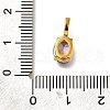Ion Plating(IP) 304 Stainless Steel Rhinestone Pendants STAS-A104-11G-05-3