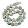 Natural Amazonite Beads Strands G-B044-B14-01-3