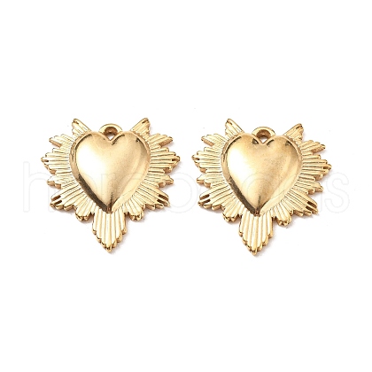 304 Stainless Steel Pendants STAS-I334-01G-01-1
