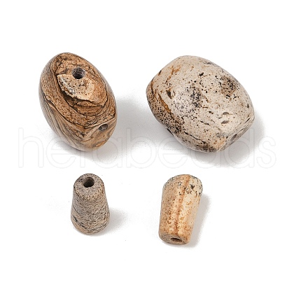 Natural Picture Jasper 3 Hole Guru Beads G-F795-G01-1