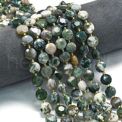 Natural Tree Agate Beads Strands G-C116-A150-01-1