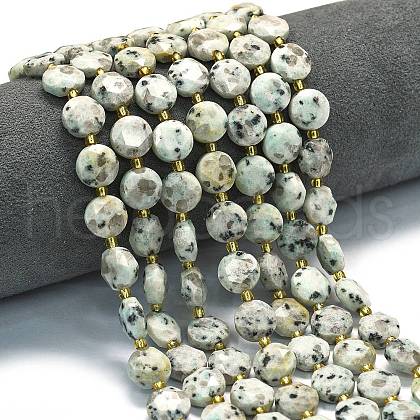 Natural Sesame Jasper Beads Strands G-C116-A141-01-1