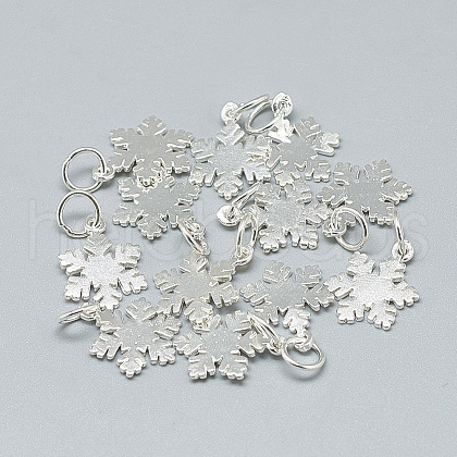 925 Sterling Silver Charms STER-T002-290S-1