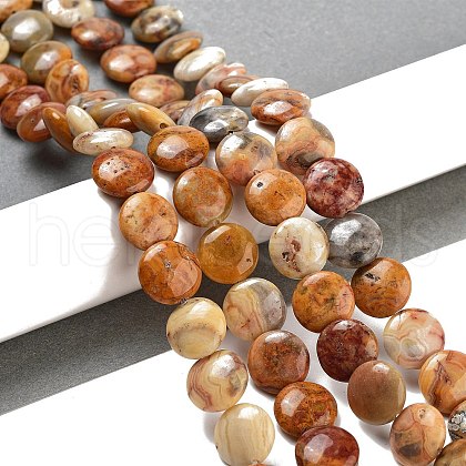 Flat Round Natural Crazy Lace Agate Beads Strands G-S110-12mm-05-1