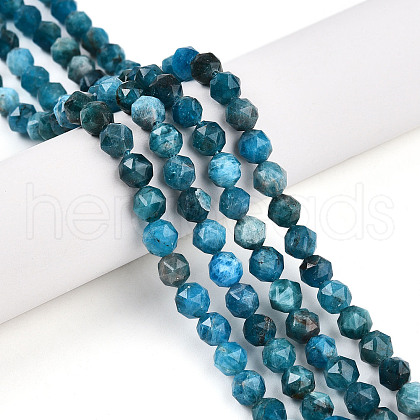 Natural Apatite Beads Strands G-N327-03A-02-01-1