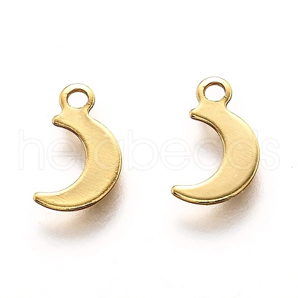 201 Stainless Steel Charms STAS-B001-11G-1