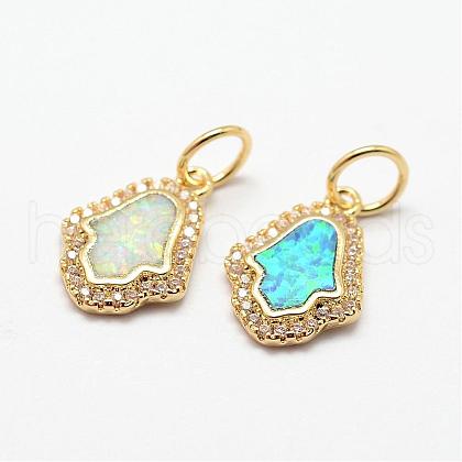 Brass Micro Pave Cubic Zirconia Charms ZIRC-E116-01A-1