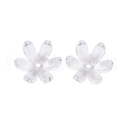 Transparent Acrylic Bead Caps TACR-G050-06-1