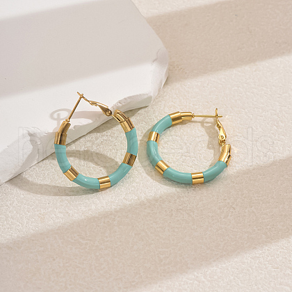 Sweet Stainless Steel Classic Hoop Earrings for Women ZH6889-5-1
