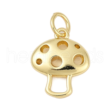 Brass Charms KK-S527-35G-1
