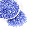 Glass Beads SEED-N007-27B-1