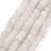Natural Rainbow Moonstone Beads Strands G-G140-C01-01-2