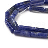 Natural Sodalite Beads Strands G-F247-30-3