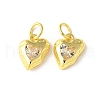 Brass Micro Pave Cubic Zirconia Pendants KK-U067-10G-04-1