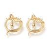 Brass Micro Pave Cubic Zirconia Pendants ZIRC-K086-09G-1