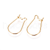 316 Surgical Stainless Steel Hoop Earrings Findings X-STAS-F216-01G-1