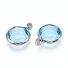 K9 Glass Charms X1-GLAA-T023-37B-04-2