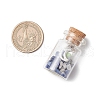 6Pcs Glass Wish Bottle Display Decoration PALLOY-JF03791-3