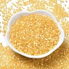 Glass Bugle Beads X1-SEED-B001-03A-03-2